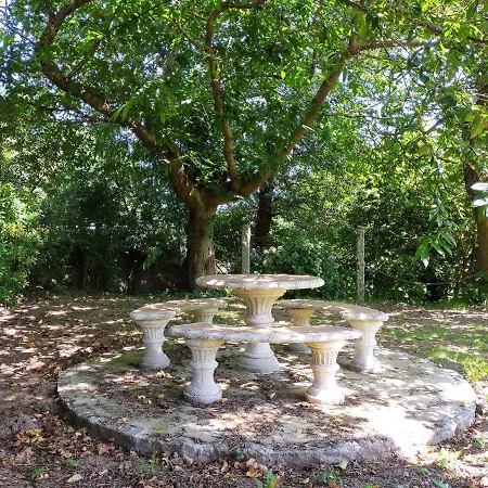 Templo Do Rio * Portas