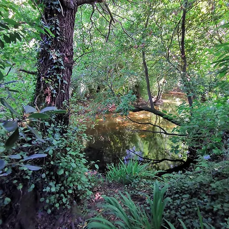 Templo Do Rio Nyaraló *