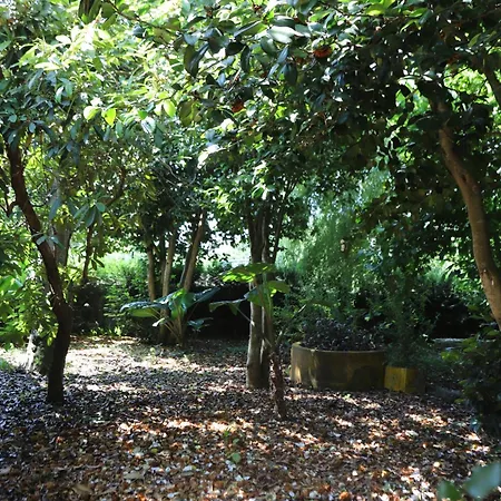 Nyaraló Templo Do Rio *