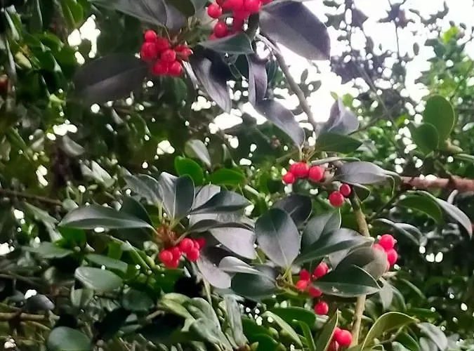 Templo Do Rio Portas