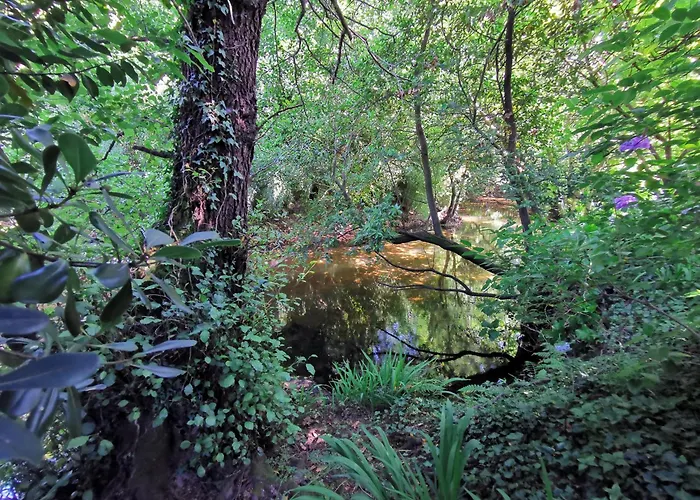 Templo Do Rio 別荘 *