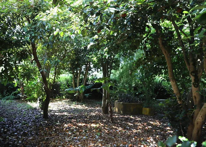 別荘 Templo Do Rio *